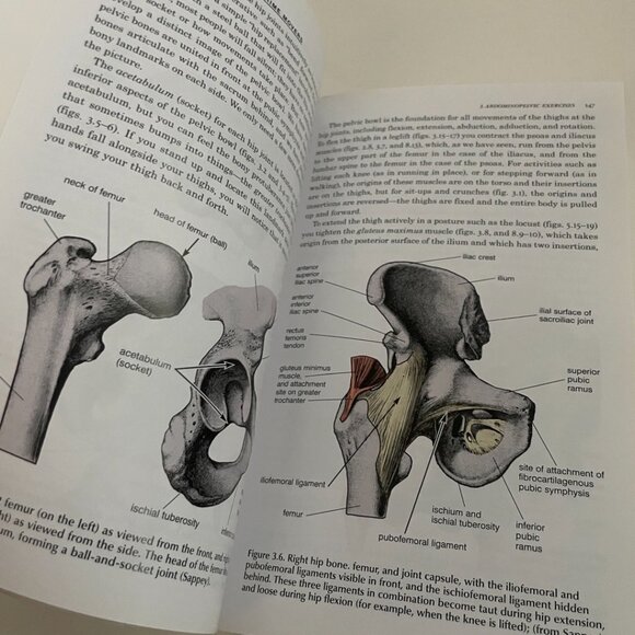 Anatomy of Hatha Yoga - Picture 8 of 9
